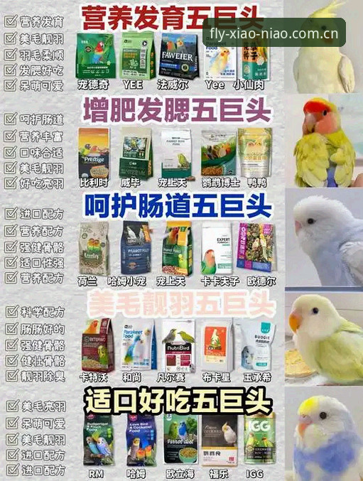 新手必看：资深用户分享小鸟平台安卓版对比体验心得