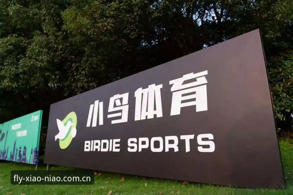 小鸟体育平台功能详解：从下载到直播的完整使用教程